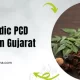 Top Ayurvedic PCD Franchise in Gujarat